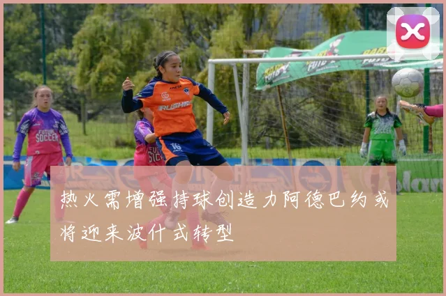 热火需增强持球创造力阿德巴约或将迎来波什式转型